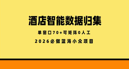 酒店智能数据归集，小众蓝海已经稳定半年之久，单窗口70+零成本矩阵开干-51云资源