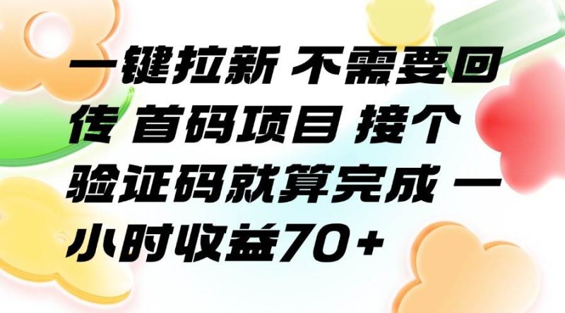 (15588期)一键拉新 不需要回传 首码项目 接个验证码就算完成 一小时收益70-51云资源
