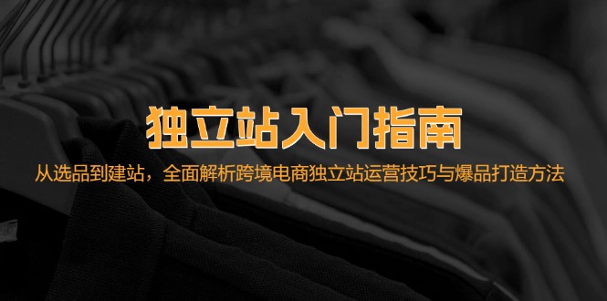 (12882期)独立站入门指南:从选品到建站,全面解析跨境电商独立站运营技巧与爆品…