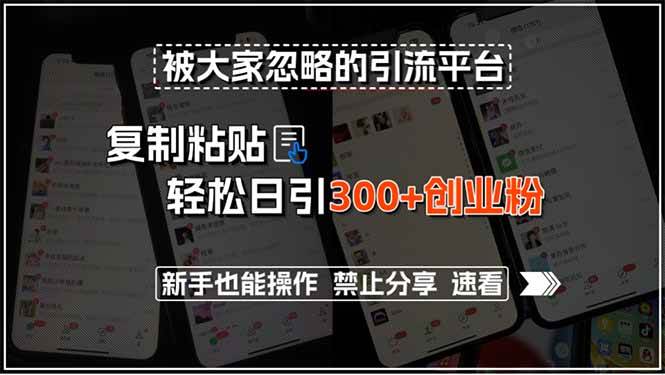 （15428期）被大家忽略的引流平台，复制粘贴轻松日引300 创业粉，新手也能操作，禁…-51云资源