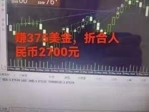 （15632期）稳定8年的美刀搬砖项目，单人每日收益800—3000.团队4人月入10W .可线下