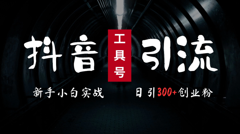 2024最新抖音工具号引流玩法,高效日引300 创业粉,当天变现5000 ,小白也可成为实战高手-51云资源