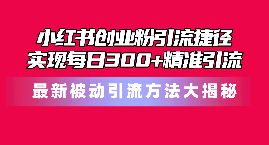 (10692期)小红书创业粉引流捷径!最新被动引流方法大揭秘,实现每日300 精准引流-51云资源