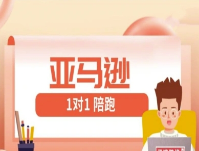 亚马逊1对1陪跑课(FBA/FBM精铺)跨境亚马逊教程-51云资源