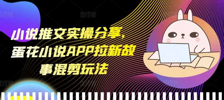 小说推文实操分享，蛋花小说APP拉新故事混剪玩法-51云资源