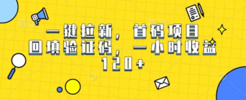 一键拉新，首码项目，回填验证码，一小时收益1张-51云资源
