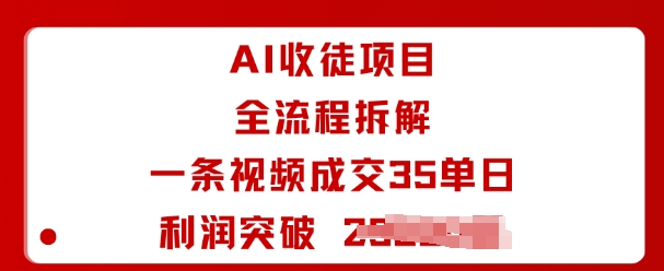 AI收徒项目全流程拆解一条视频成交35单日利润突破1k-51云资源