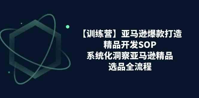 亚马逊爆款打造之精品开发SOP【训练营】，系统化洞察亚马逊精品选品全流程-51云资源