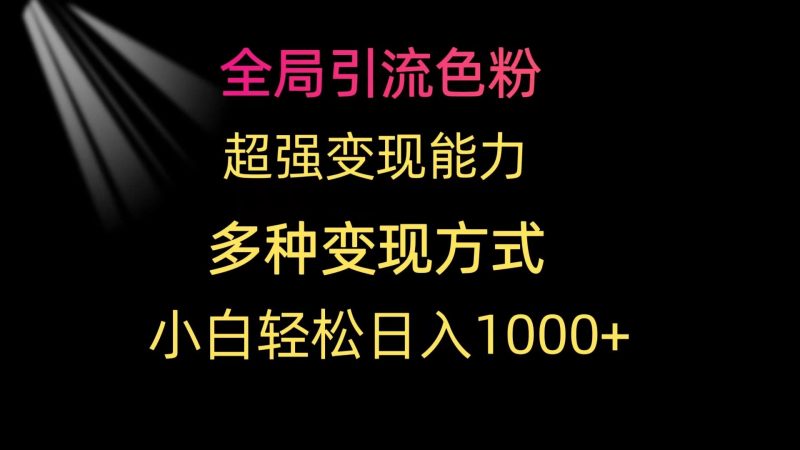 全局引流色粉 超强变现能力 多种变现方式 小白轻松日入1000-51云资源