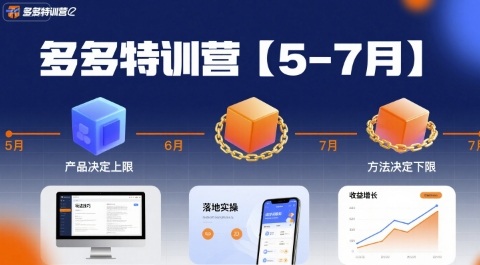 多多特训营，产品决定上限，方法决定下限，各种玩法技巧落地实操（更新）-51云资源