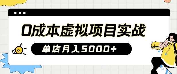 0成本虚拟项目实战手把手教你落地，单店月入5k-51云资源