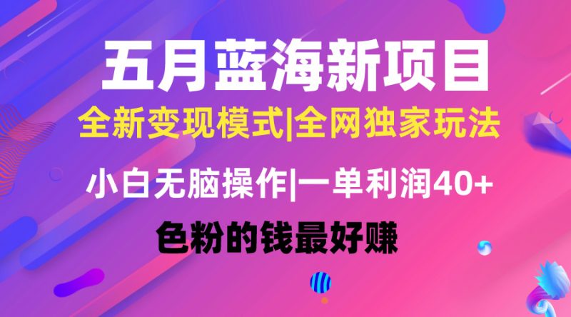 (10477期)五月蓝海项目全新玩法,小白无脑操作,一天几分钟,矩阵操作,月入4万-51云资源