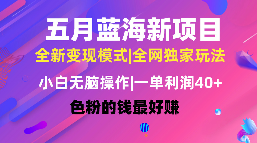 (10477期)五月蓝海项目全新玩法,小白无脑操作,一天几分钟,矩阵操作,月入4万