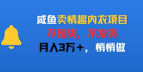 咸鱼卖情趣内衣项目,不囤货,不发货,月入3W ,悄悄做