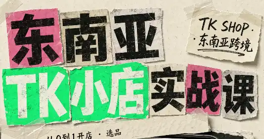 东南亚TK小店实战课(基础 进阶)-51云资源