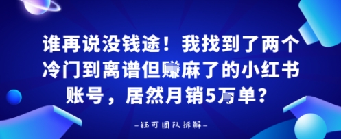 谁再说没钱途！我找到了两个冷门到离谱但賺麻了的小红书账号，居然月销5W单？-51云资源