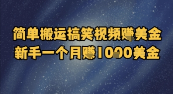 简单搬运搞笑视频挣美金，新手一个月入1k美金-51云资源