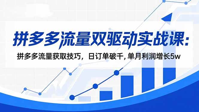 (16563期)拼多多流量双驱动实战课:拼多多流量获取技巧,日订单破千,单月利润增长5w