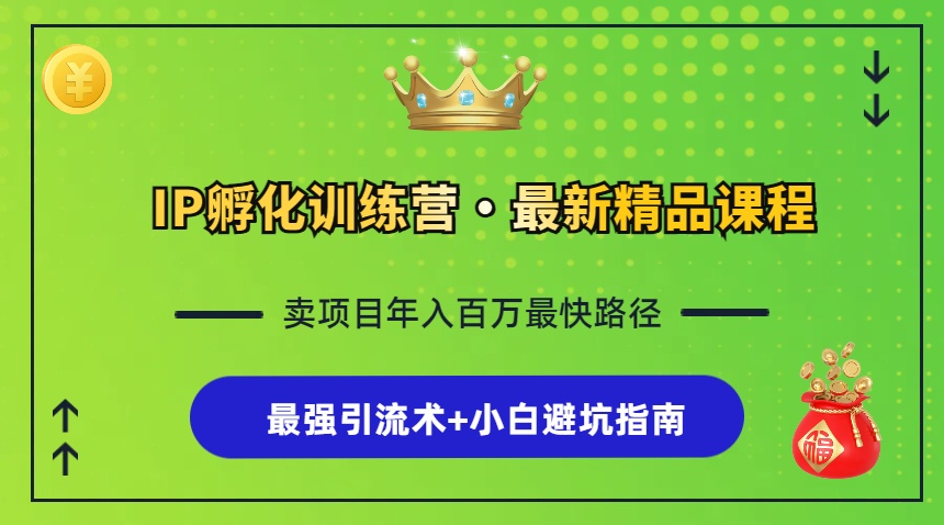 (13055期)IP孵化训练营,知识付费全流程 最强引流术 小白避坑指南