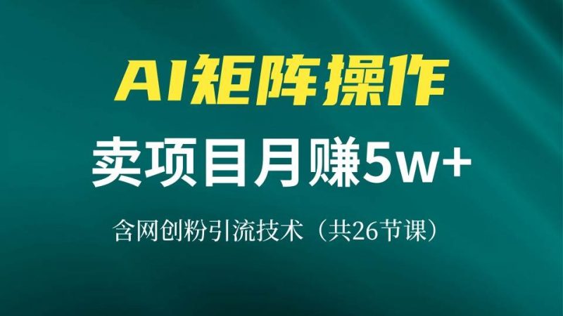 （13335期）网创IP打造课，借助AI卖项目月赚5万 ，含引流技术（共26节课）-51云资源