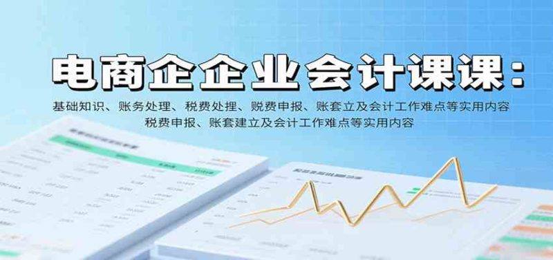 电商企业会计课：基础知识、账务处理、税费申报、账套建立及会计工作难点等实用内容-51云资源