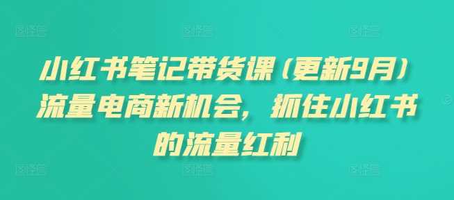 小红书笔记带货课(更新12月)流量电商新机会,抓住小红书的流量红利