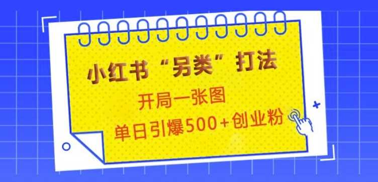小红书“另类”打法,开局一张图,单日引爆500 精准创业粉【揭秘】