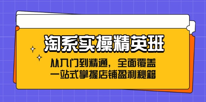 （12276期）淘系实操精英班：从入门到精通，全面覆盖，一站式掌握店铺盈利秘籍-51云资源