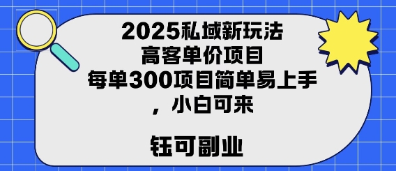 2025私域新玩法高客单价，每单3张操作简单，小白可轻松上手-51云资源