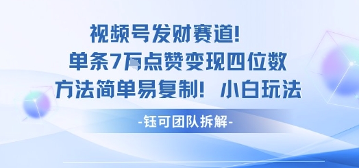 视频号发财赛道单条7W点赞变现四位数方法简单易复制小白玩法-51云资源