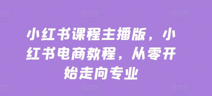 小红书课程主播版，小红书电商教程，从零开始走向专业-51云资源
