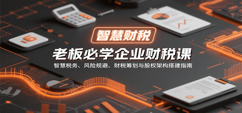 老板必学企业财税课：智慧税务、风险规避、财税筹划与股权架构搭建指南-51云资源