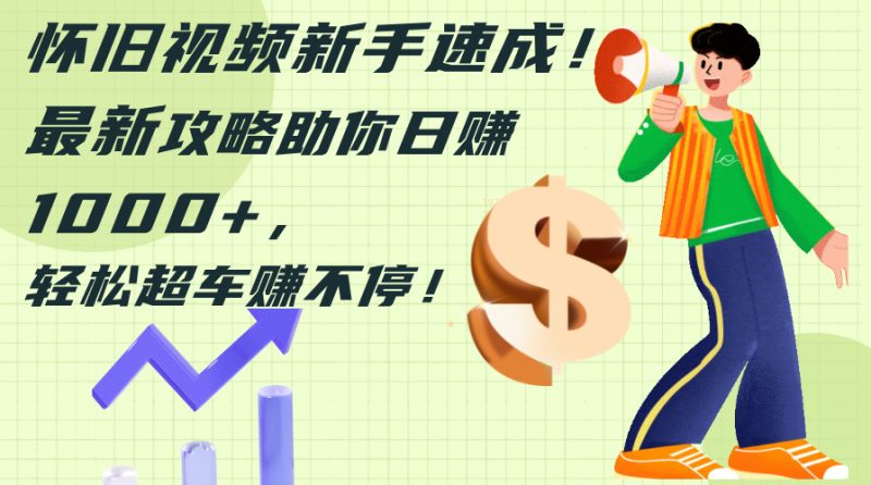（12250期）怀旧视频新手速成！最新攻略助你日赚1000 ，轻松超车赚不停-51云资源