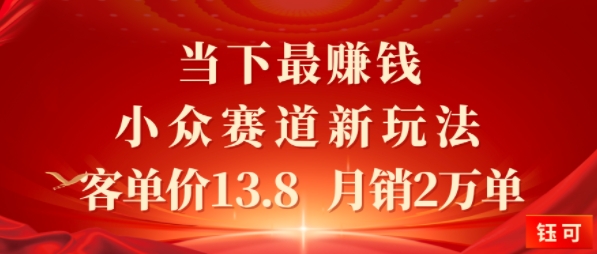 当下最挣钱的小众赛道 小红书新玩法10个作品涨粉3W，客单价13.8 月销2W单-51云资源