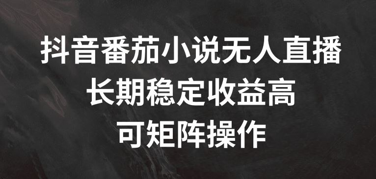抖音番茄小说无人直播，长期稳定收益高，可矩阵操作【揭秘】-51云资源