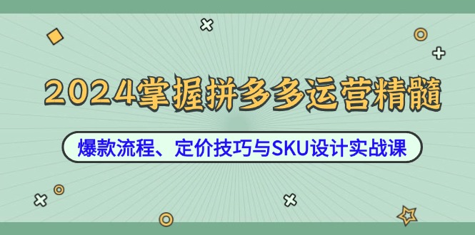 (12703期)2024掌握拼多多运营精髓:爆款流程、定价技巧与SKU设计实战课-51云资源