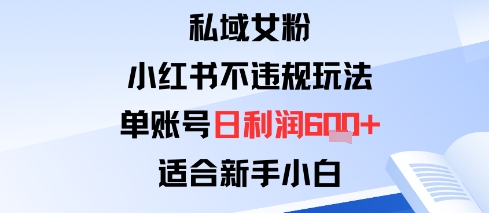 私域女粉：小红书平台不违规玩法单账号日利润6张 适合新手小白-51云资源