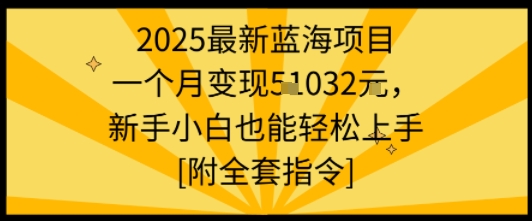 2025最新蓝海项目一个月变现1w 新手小白也能轻松上手【附全套指令】-51云资源