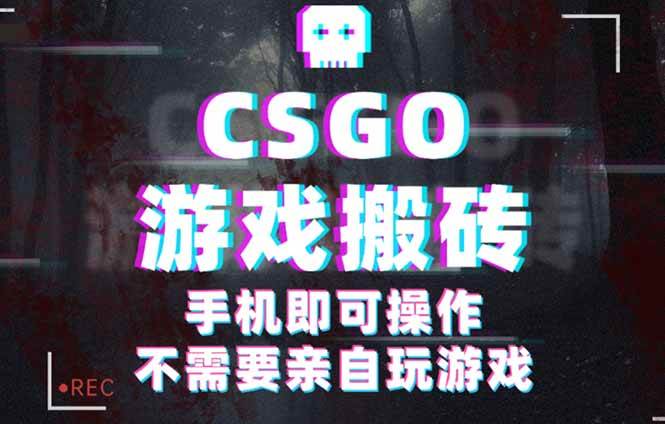 (16090期)CSGO游戏挂机捡漏,单日扫货500 ,年底小高峰上车可吃肉,手机即可操作…-51云资源