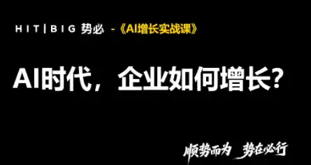 势必·AI增长实战课-51云资源