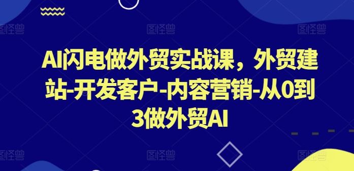AI闪电做外贸实战课，外贸建站-开发客户-内容营销-从0到3做外贸AI-51云资源