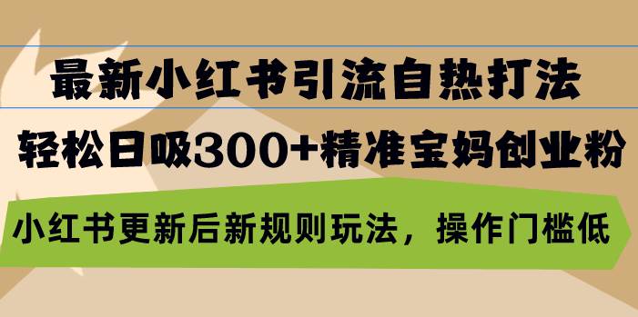(13145期)最新小红书引流自热打法,轻松日吸300 精准宝妈创业粉,小红书更新后新…